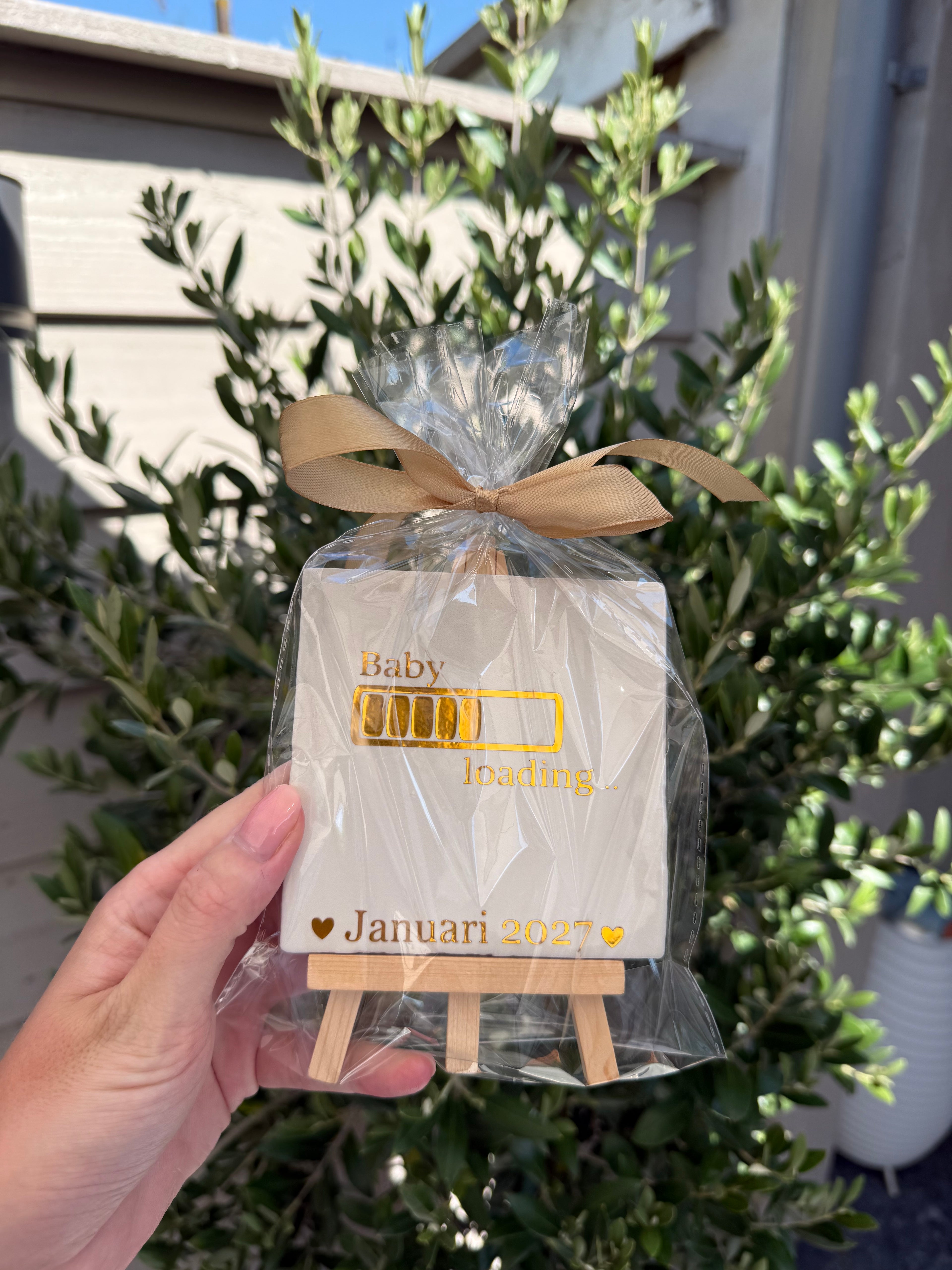 Cadeaupakket 'baby loading'